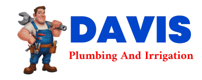 Trusted plumber in CELESTINE